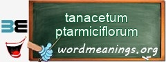 WordMeaning blackboard for tanacetum ptarmiciflorum